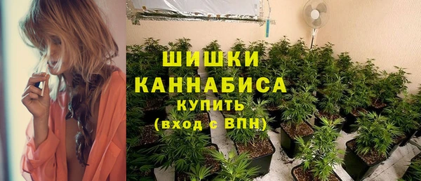 винт Богородск