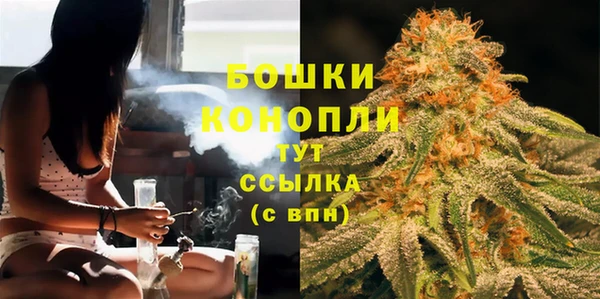 трава Богданович