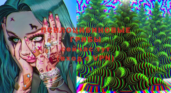 трава Богданович