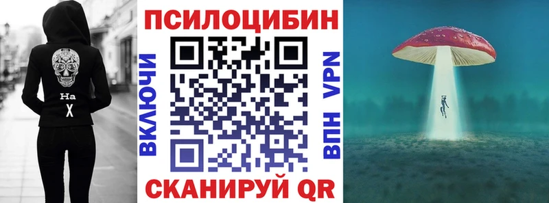 кракен   Котельниково  Галлюциногенные грибы прущие грибы 